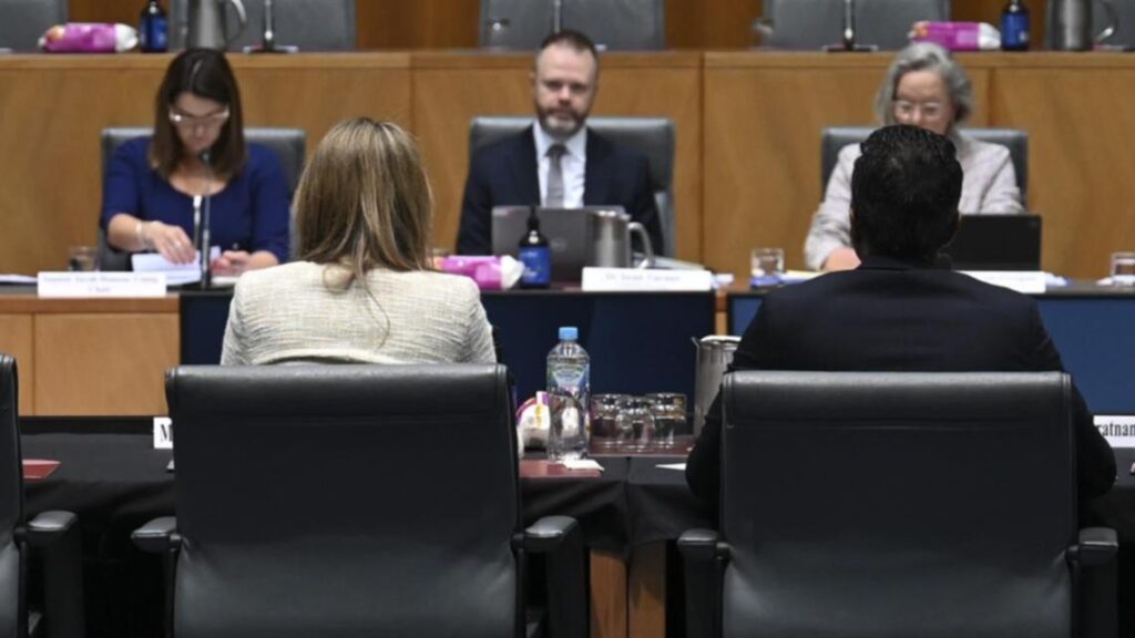 Kelly Bayer Rosmarin: Embattled Optus CEO cops grilling at Senate inquiry over 12-hour outage