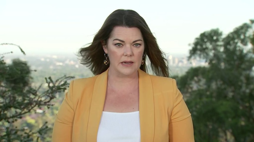 Sarah Hanson-Young responds to Optus CEO Kelly Bayer Rosmarin's resignation